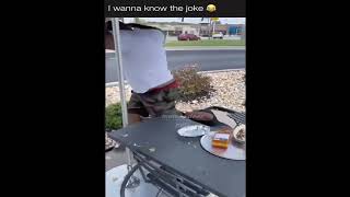 2 Guys Laughing At A Table