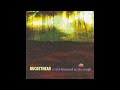 Buckethead-A Real Diamond in the Rough-A Real Diamond in the Rough