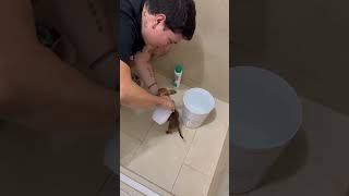 El Primer Baño De Merlina
