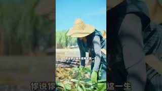 Chinese Girls Work In Field