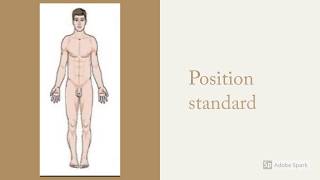 Résumé Cours Anatomie Et Unité De Lorganisme
