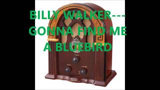 Watch Billy Walker Gonna Find Me A Bluebird video