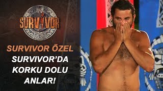 Survivor'da Korku Dolu Anlar! | Survivor Özel