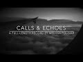 Melissa Polinar: 1.14.14 - CALLS & ECHOES - LP RELEASE