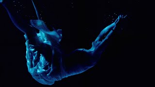 Jalousie - Emilie Video Clip