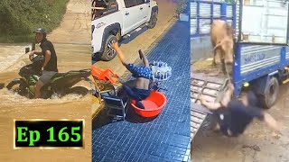 Hài Tin Việt 2025 Mới Nhất Những Tình Huống Ngu Nhất Hành Tinh Cười Vỡ Bụng Phần 165.