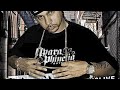 Phinelia- Quick Fix