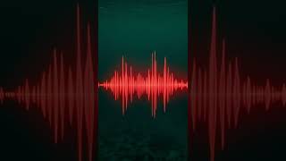 No One Knows What Made This Ocean Sound The Bloop