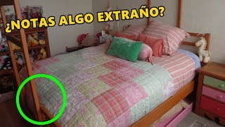 El Misterioso Caso De Paulette Gebara