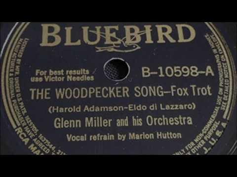 The Woodpecker Song Video