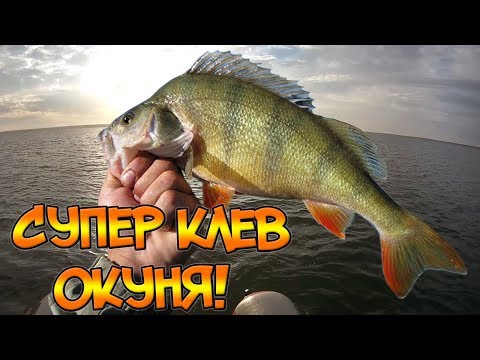как поймать окуня на воблер как поймать окуня на воблер