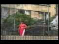 Ngọc Ánh - MÙA XUÂN TRÊN TP HỒ CHÍ MINH