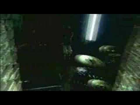 Face: Face Video