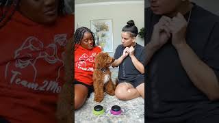 A Dog With Moms