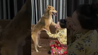 Part 9 Kwan Giving A Good Mage For Koko Look At His Face So Happy