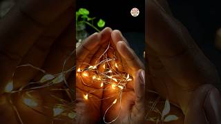 Fairy Lights Wine Bottle Cork Lights Dev