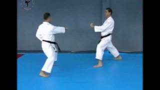 Bunkai - Nijushi Ho By Yuval Abergil
