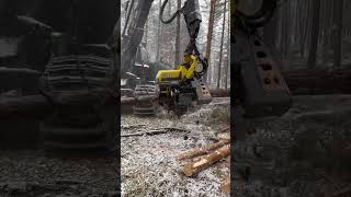 New John Deere 1270G H425 Harvester In The Forest #Johndeere #Harvester #Tree #Farming #Excavator