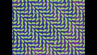 Watch Animal Collective Also Frightened video