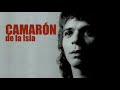 La voz kids españa raul y camaron de la isla - como el agua