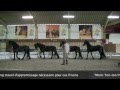 "Le Secret" Lors d'une visite surprise au Haras National d'Uzès