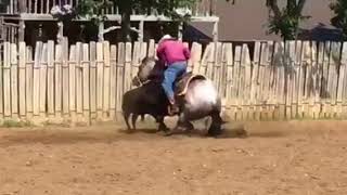 Metallic Malice- Stopping + Down The Fence August 2018