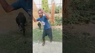 Nimu Khar Bhuja