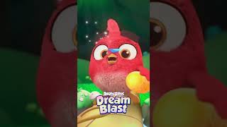 The Piggies Never Rest And Neither Does Red