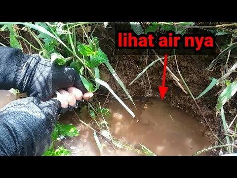 Saat Paling Menegangkan Ketika Narik Belut,Apakah Belut Babon,Kecil atau Mocel