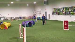 Ochis C Atch Celebration Run, May 13, 2018 At All Dogs Can, Lapeer, Mi