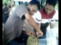 Susahnya Belah Duren Perawan Berdarah images Susahnya Belah Duren Perawan Berdarah