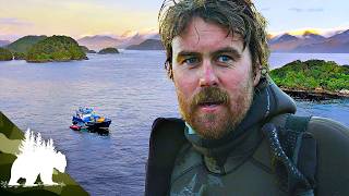High-Stakes Kina Harvest Spiky D Hunters Adventure Series
