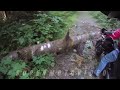 MOTARDS IN THE JUNGLE.mp4