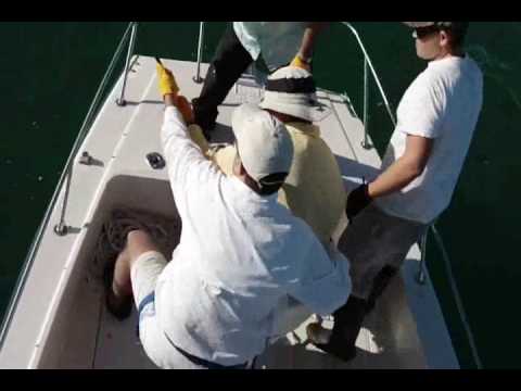 Tampa  Deep  Fishing Charters on Tampa Bay Fishing Charters 450 Goliath On Fat Cat Fishing Charters Net