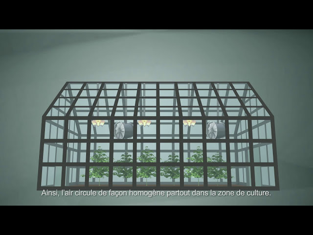 Watch Comment circulation de l'air affectent la croissance des plantes - Ep05 S1 by CANNA on YouTube.