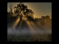Wish you Good Morning! - Good Morning ecards - Everyday Greeting Cards Wish you Good Morning! - Good Morning ecards - Everyday Greeting Cards