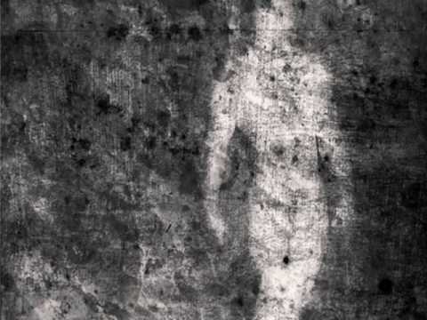 The Sinkings (Amanda Curtin) The Sinkings (Amanda Curtin)