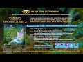 ALAJE THE PLEIADIAN - MUSIC - CONNECT TO NATURE SPIRITS - MP3 Download