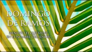 DOMIGO DE RAMOS 2020