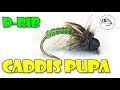 D-Rib Wally Wing Caddis Pupa D-Rib Wally Wing Caddis Pupa
