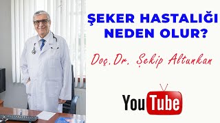 Şeker Hastalığı Neden Olur? Doç.dr. Şekip Altunkan 36.Bölüm 4K