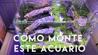 ¿Cómo monté mi acuario plantado? - Aquascaping