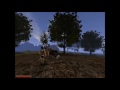 Gothic 2 NotR Cheating fun: The ultimate FFA