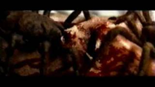 Watch Necrophagia And You Will Live In Terror video