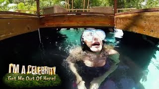 Main Camp Vs Extra Camp Scary Rose Im A Celebrity... Extra Camp