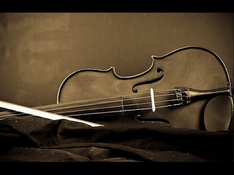 Vivaldi - Trio Sonata No. 11 in B minor for two violins and basso continuo, Op. 1, RV 79