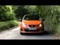 Seat Ibiza Cupra 2010