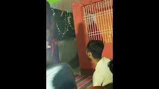 Aarkesta Video Hamra Hau Chahi Bhojpuri Song Aarkesta Video
