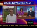 Checking out the wind simulator at New Zoo