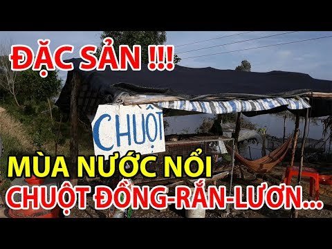 ĐẶC SẢN MÙA NƯỚC NỔI | AN GIANG NGÀY NAY